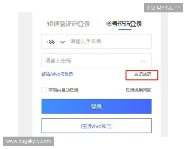 开云官网app注册登录流程详解让新用户快速上手享受专属优惠服务
